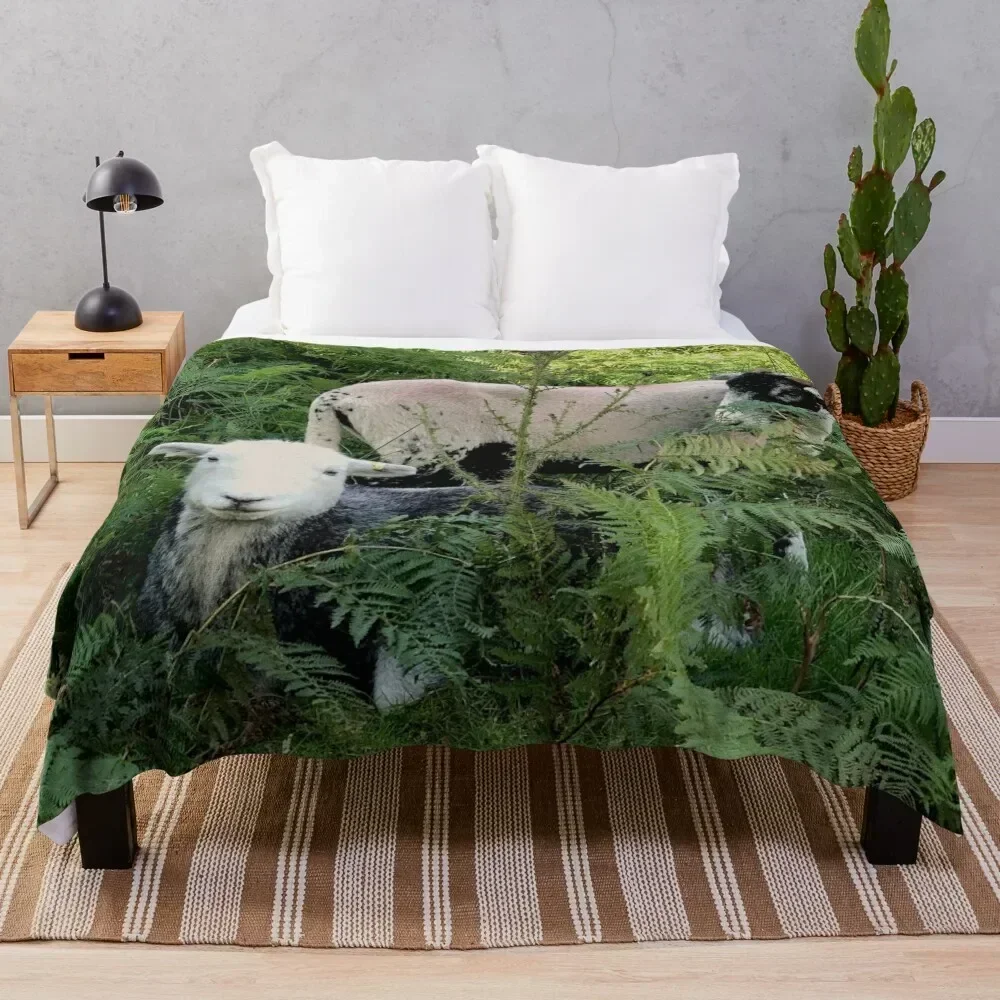 

Lake District herdy sheep in laying in ferns Throw Blanket sofa bed christmas gifts Sofa Bed linens Blankets