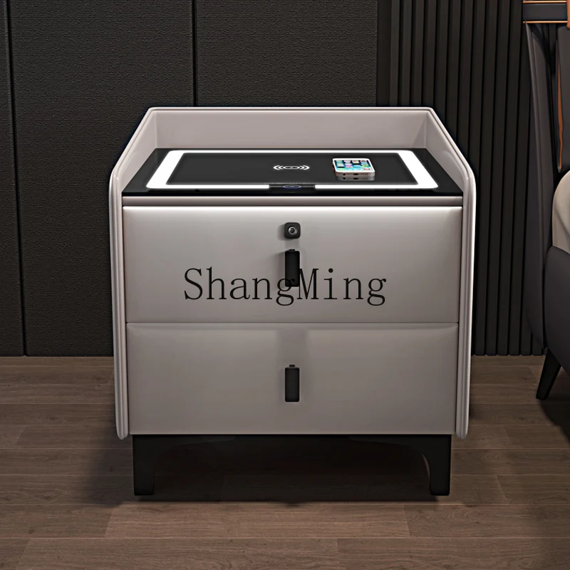 

ZYY Light Luxury Simple Modern Bedroom Small Solid Wood Simple Internet Celebrity Smart Minimalist Storage Cabinet with Lock