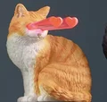 orange tabby