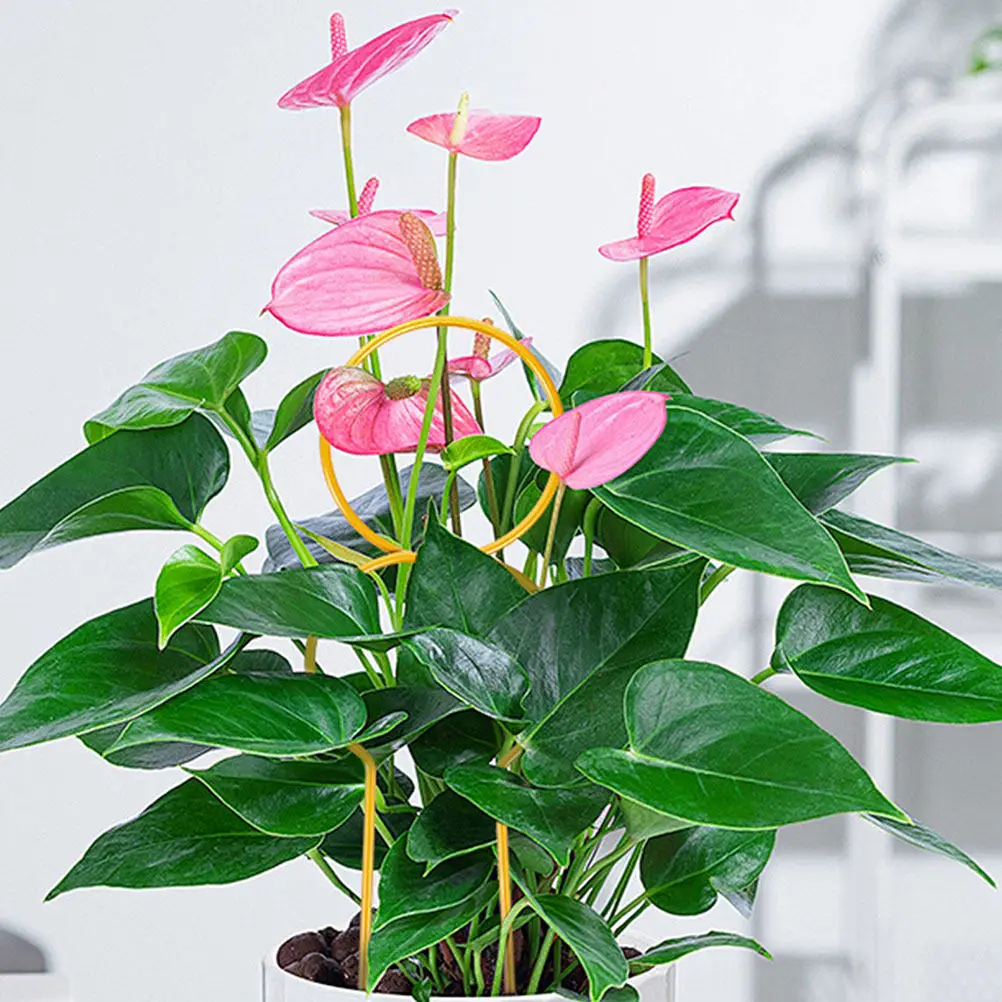 3Pcs Metal Trellis for Climbing Plants Indoor Garden Balcony Small Space Iron Potted Plant Support Vertical Flower Display