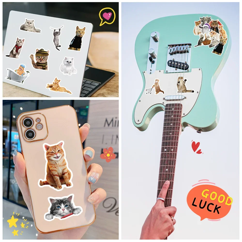 Gato realista bonito adesivo, animal engraçado, mala, guitarra, computador, impermeável, skate, geladeira, copo, atacado, 10 pcs, 30 pcs, 50pcs