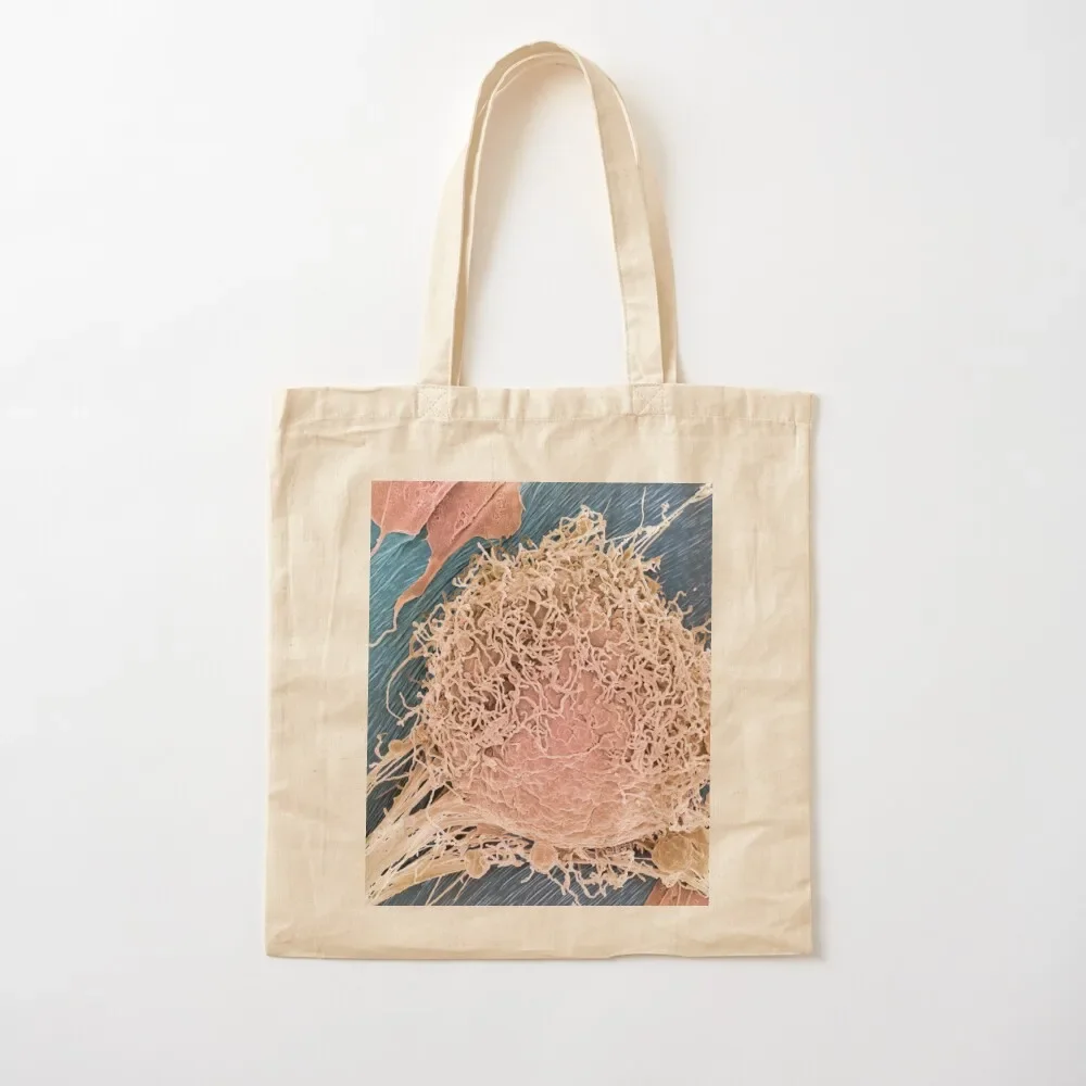 

Bone marrow stem cell, SEM (C001/6592) Tote Bag hand bags Women bags Tote Bag