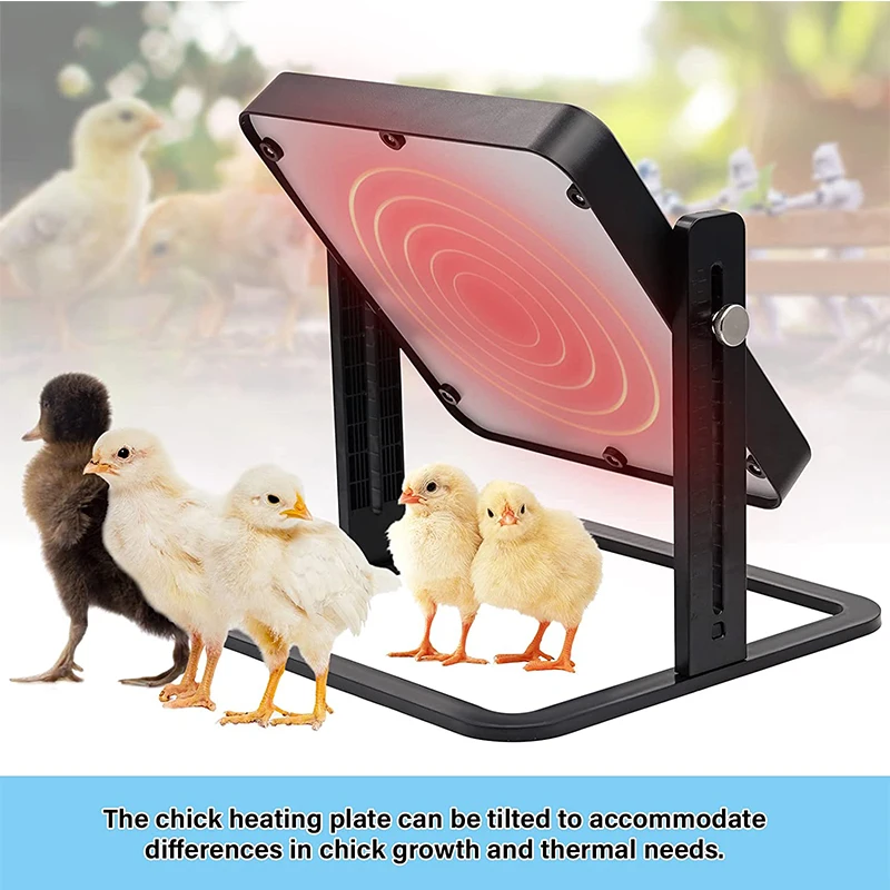 

Poutly Heater for Chicken Eggs Incubator Brooder Chicks Heating Plate Adjustable Chick Coop Heater Temperature Controller