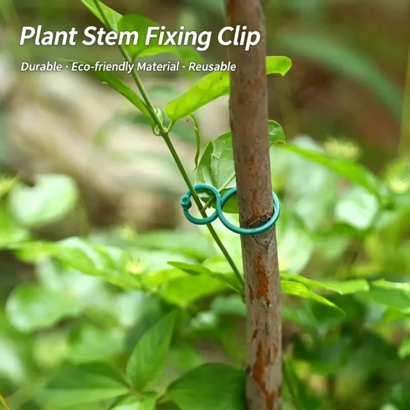 Kunststoff-Schnallen für Rankenbefestigung, Ringhalterungen, Gartenpflanzenhalter, Kletterpflanzen-Wandclips, Rankenstützen