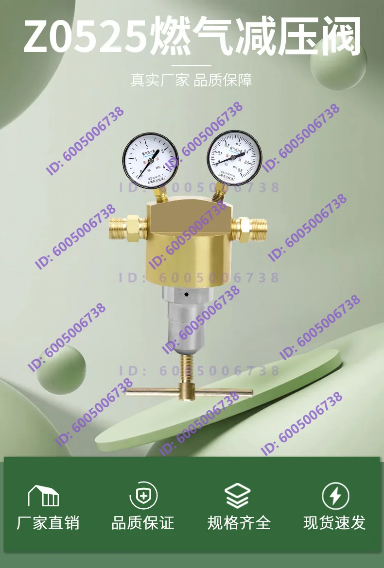 Z0525/ER4PM-G gas pressure reducing valve pipeline pressure regulating valve