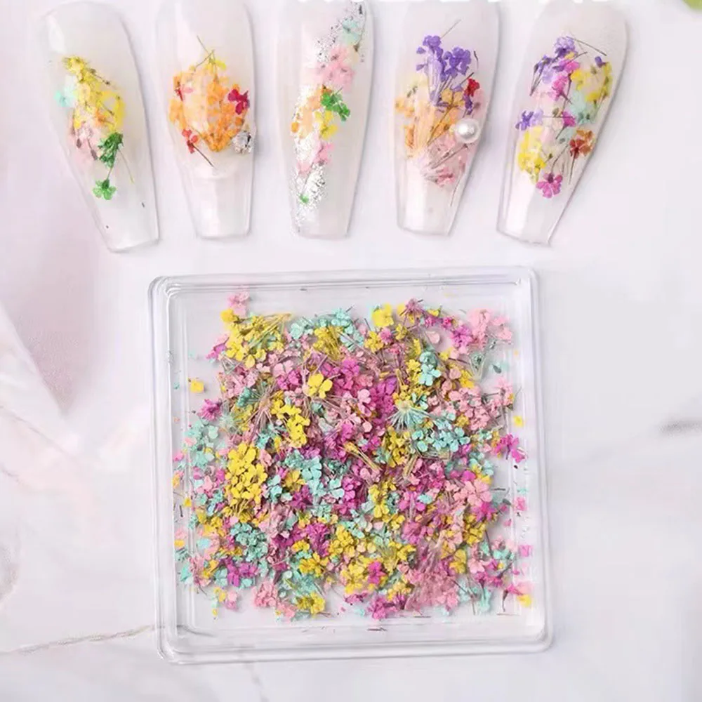 Mixed Color Dried Flowers for Nails Design Stickers Colorful Dried Flower Decoration Decal Floral Manicure Accessories Parts