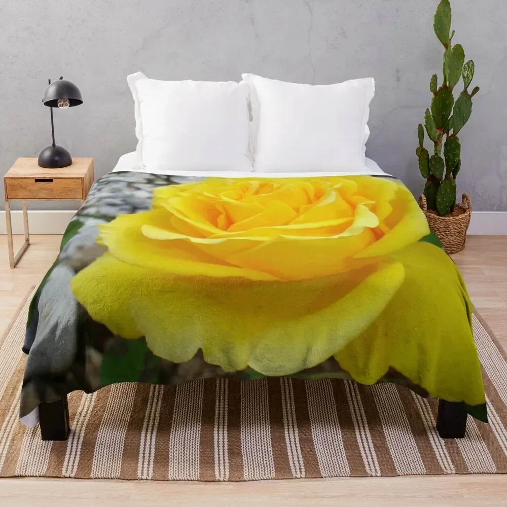 

Beautiful Yellow Rose with Natural Garden Background Throw Blanket Fade Resistant Durable Throw Blanket