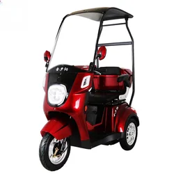 Electric Tricycle for Elderly Commuting and Adult Use with Rainproof Canopy