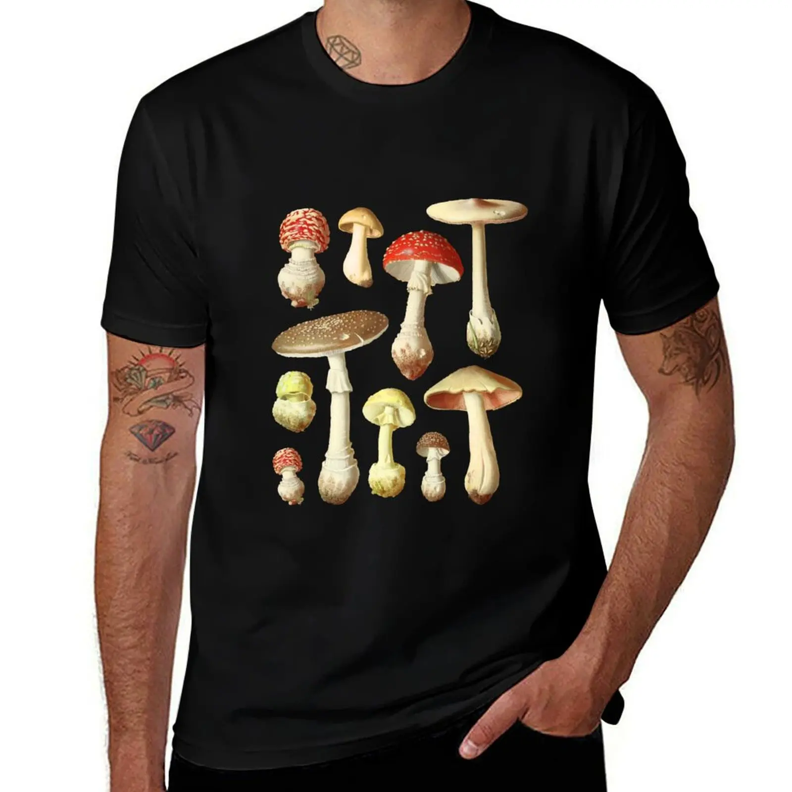 

Cottagecore Aesthetic Vintage Mycology: Cute Mushrooms, Grunge Fairycore Fungi, Forest Themed Goblincore T-Shirt