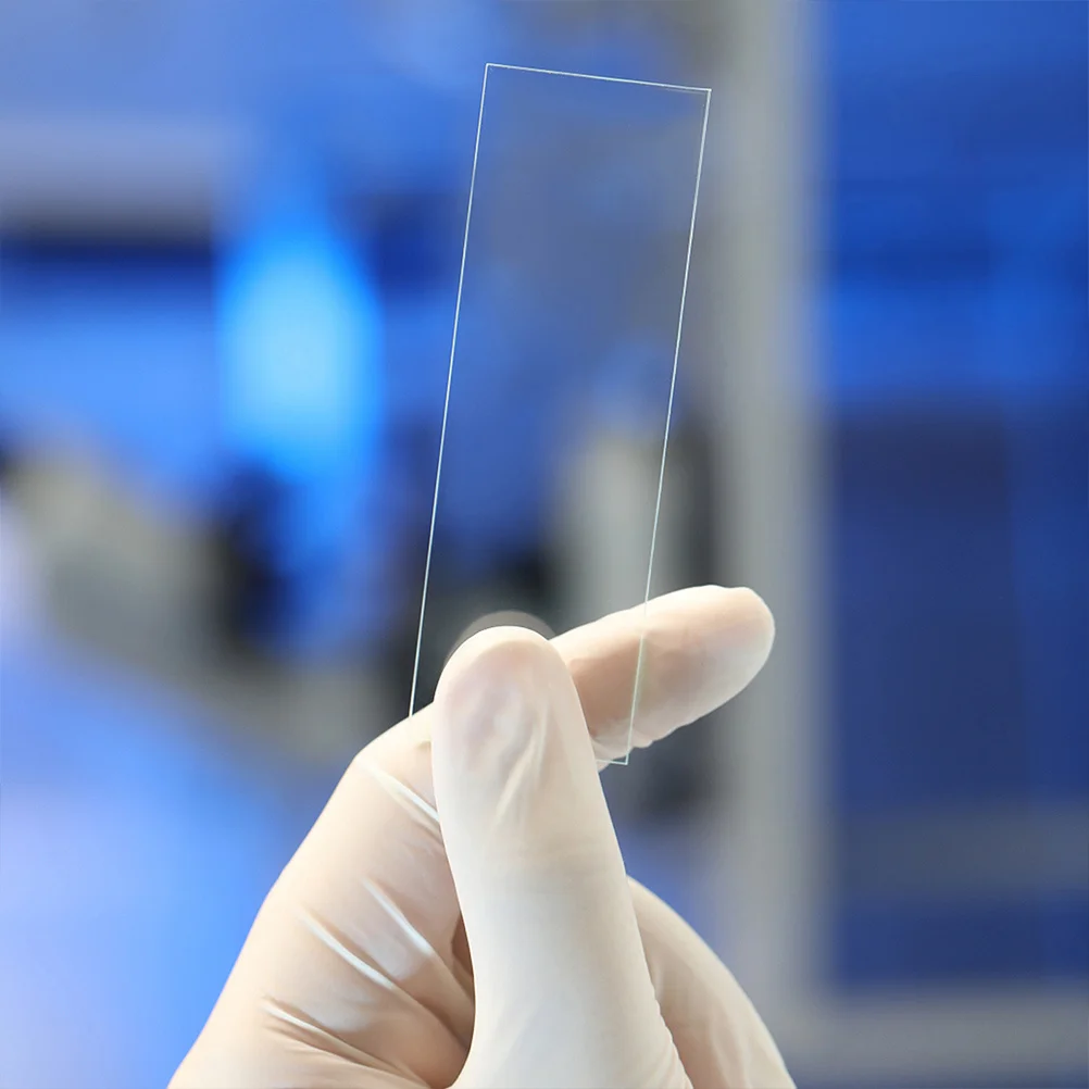 

50 Pcs Portable Microscope Slides for Biology Class Props Accessory Accessories