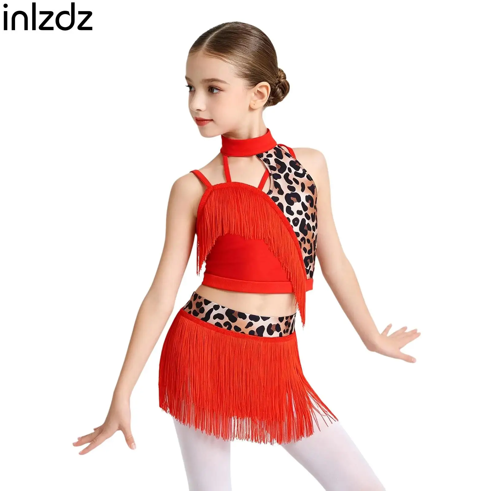 

Kids Tango Salsa Latin Dance Costume Girls Printed Rumba Chacha Dance Asymmetrical Vest Top with Tassel Fringe Skirt Dancewear