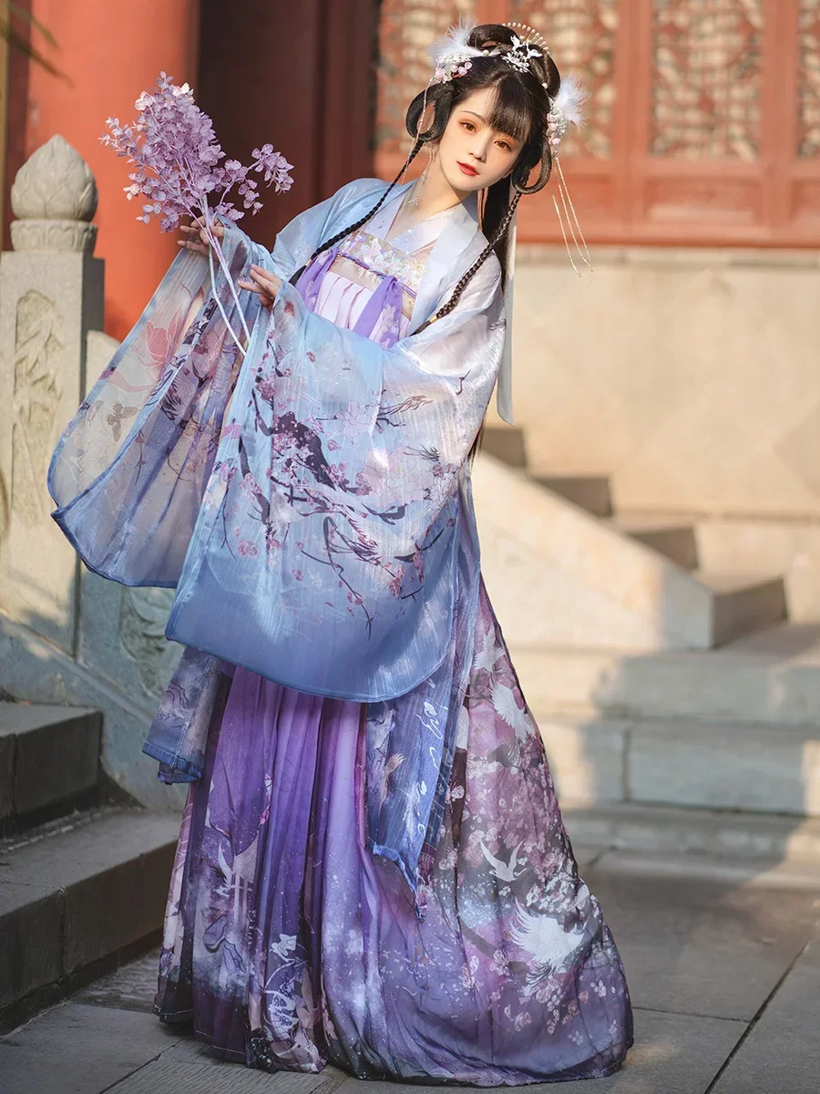 Hanfu-Robe de fée de style traditionnel chinois pour femmes, costume folklorique, vêtements de danse pour filles, vêtements de cosplay pour dames, été trempé