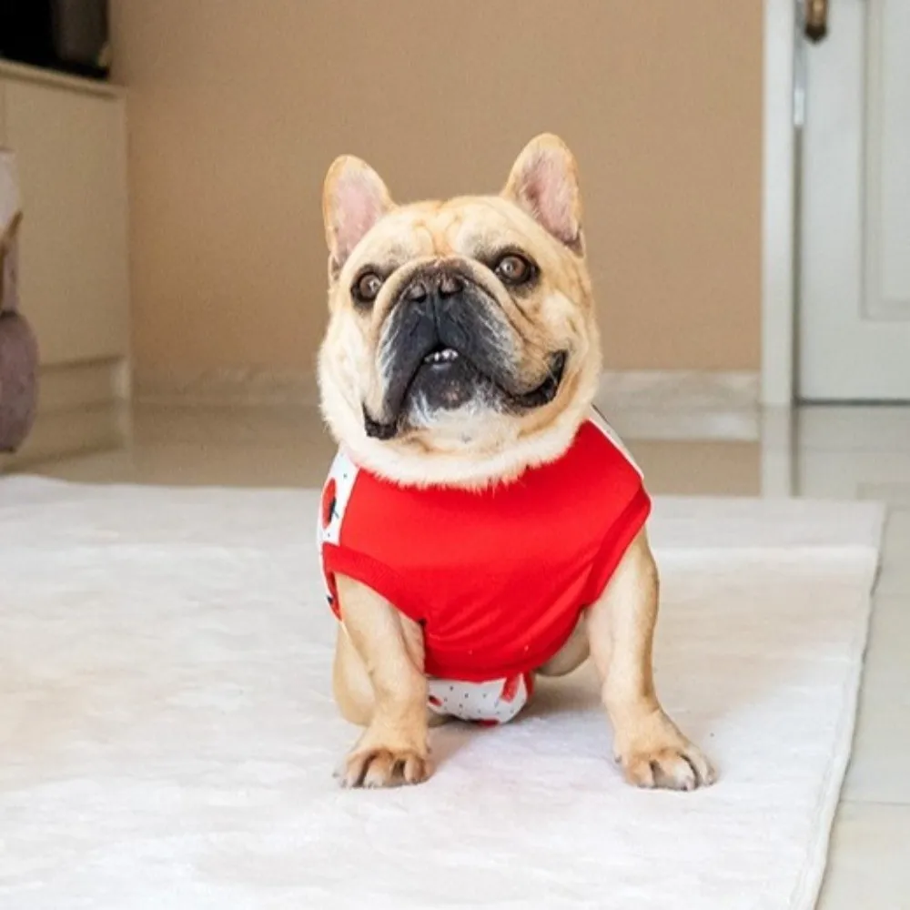 

Дышащий защитный костюм для собак после операций: теплый, высокоэластичный, предотвращающий вылизывание, комфортный, для стерилизации