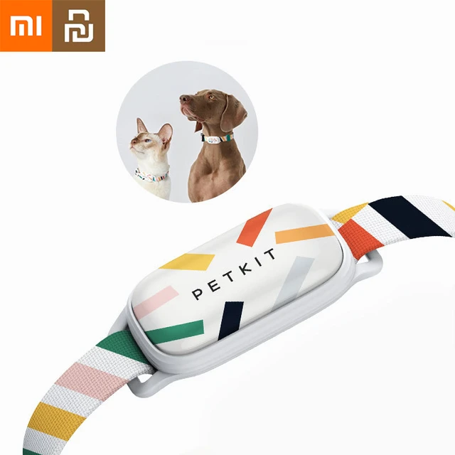 Smart pet fashion collar