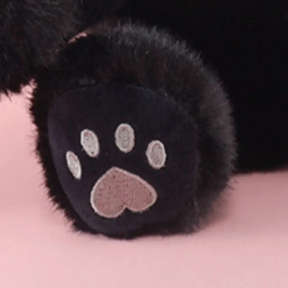 

Ask for A Hug Sitting Cat Plush Toy Spread Hands Fluffy Cute Animal Plush Doll Big Eyes 25cm Soft Cat Plush Pillow