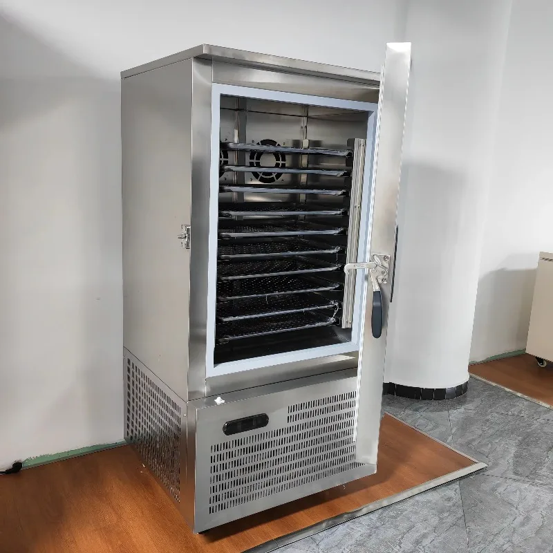 Upright Commercial Fast Cooling Ultra-low Temp Freezer -40℃ Stainless Steel Quick-freeze Preservation