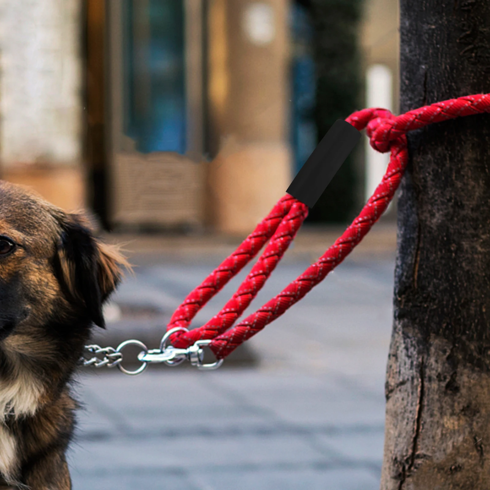 

5 Pcs Pet Rope Handle Cover Small Handles Leash Wraps Accessory Dog Sponge Sleeves Non-slip