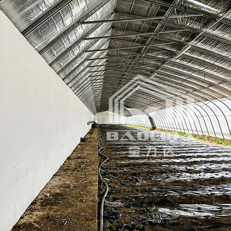 Large Walk-in Winter Lean to Greenhouse Kit with Insulation Blanket Attached Vegetable Tunnel PE Film Galvanized Steel Frame