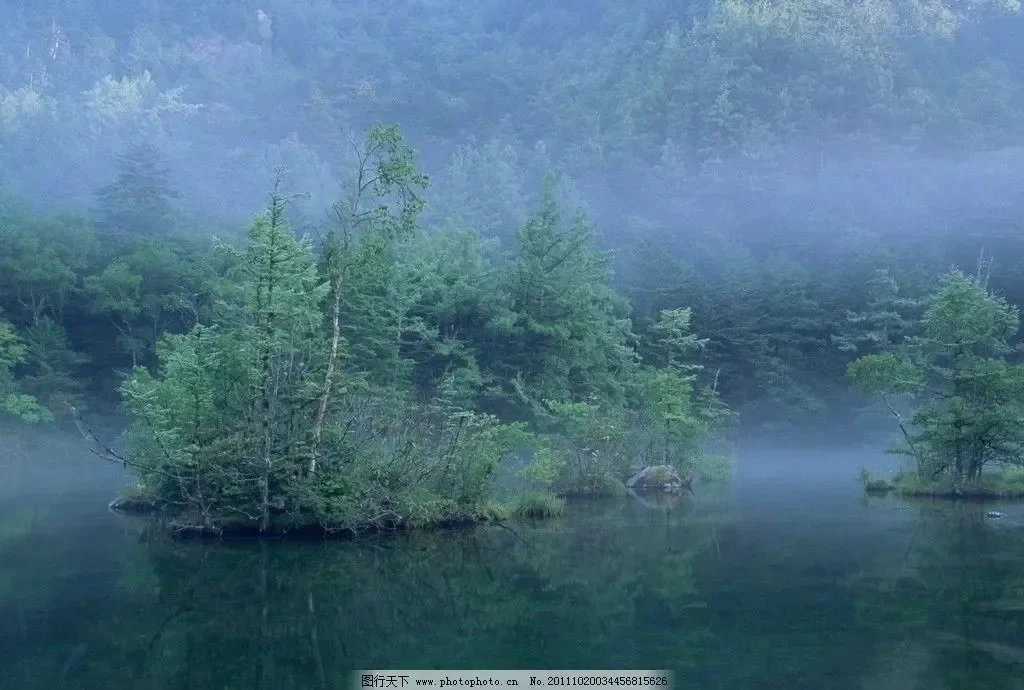 

Black Under Engine Guard Plate Mudguard Board Splash Shield Mud Fender Plate Panel For Hyundai Sonata 8th Generation 2011-2014