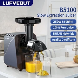 LUFVEBUT-Extracteur de jus électrique à mastication lente, presse-fruits, facile à laver, puissance 200W, Ju479