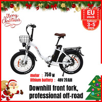 DRVETION CT20 ebike 750W Motor, 48V 20AH, 20 inch Tire Adult Mountain Off Road Full Suspension Electric Bicycle