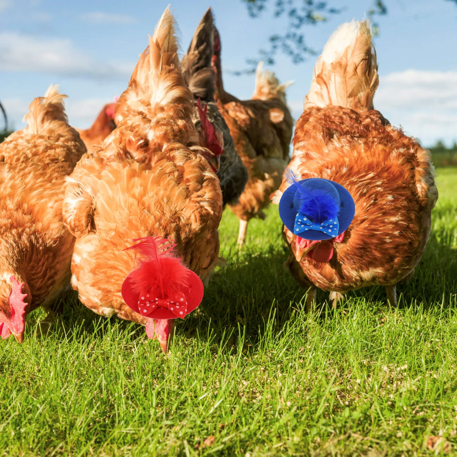 

2Pcs Chicken Mini Hats Adjustable Elastic Chin Strap Cloth Hat for Hen Small Pets Bird Parrot Accessories Cute Photo Prop