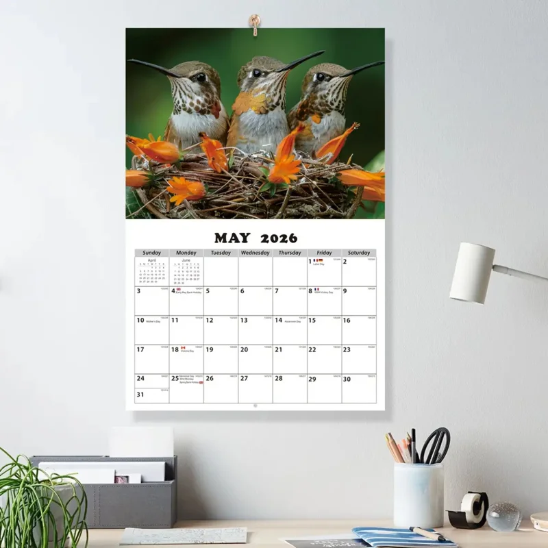 1Ben 【2026Hummingbird Wall Calendar】تقويم طبيعة InsWind، غطاء تصوير عالي الدقة للطائر الطنانة