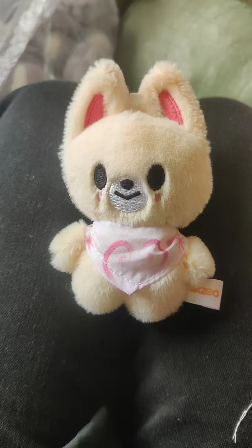 SKZ FM Field Week Mesmo lenço de água de 10 cm Stray Kids Chaveiro de pelúcia Boneca de Natal