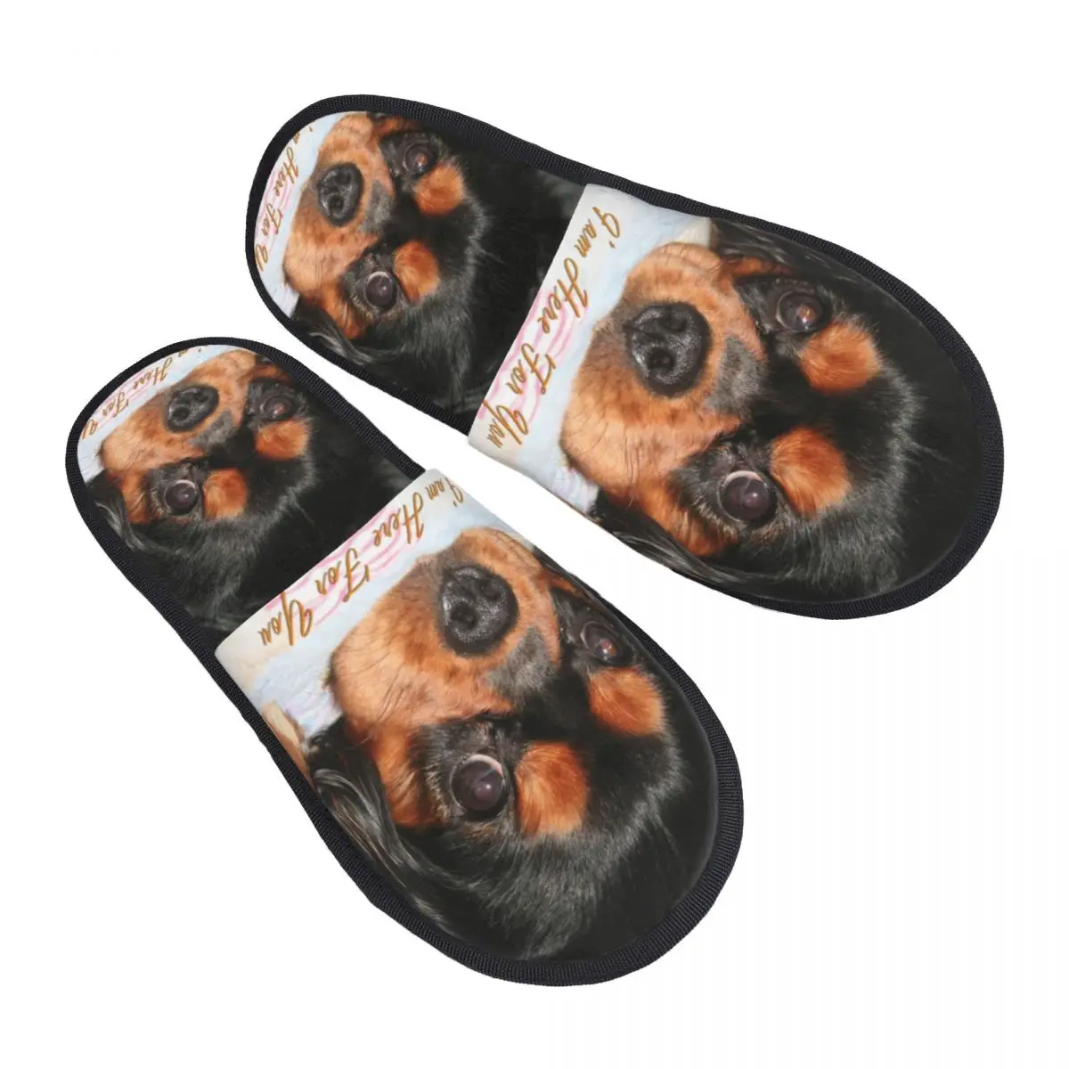 Zapatillas de casa personalizadas de espuma viscoelástica suave para cachorros Cavalier King Charles Spaniel, pantuflas con suela antideslizante cálida y acogedora para perros y animales para mujer