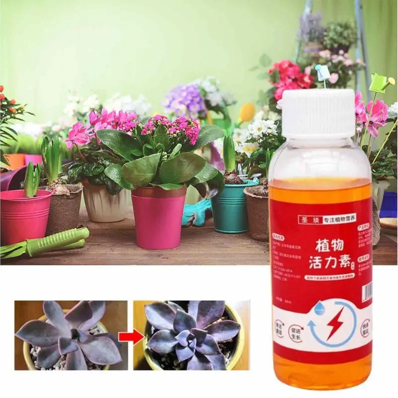 Plant Growth Enhancer Fast Rooting Nutrient Root Growth Promoting Supplements 50ml Plant Enhancer For Roots Agriculture Supplies