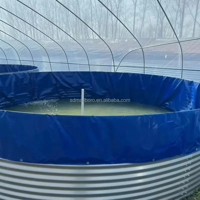 Custom RAS Aquaculture System PVC Galvanized Sheet Water Tanks for Fish Farming Biofloc Fish and Shrimp Farming Tanks