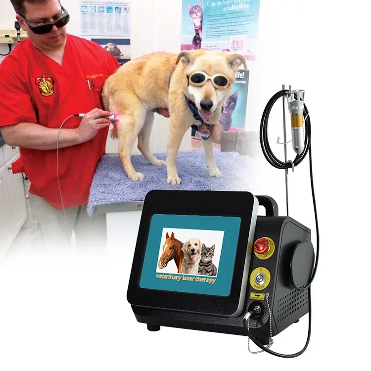 2022 Triangel portable 60w 980nm arthritis treatment veterinary Class IV laser equipment for dogs