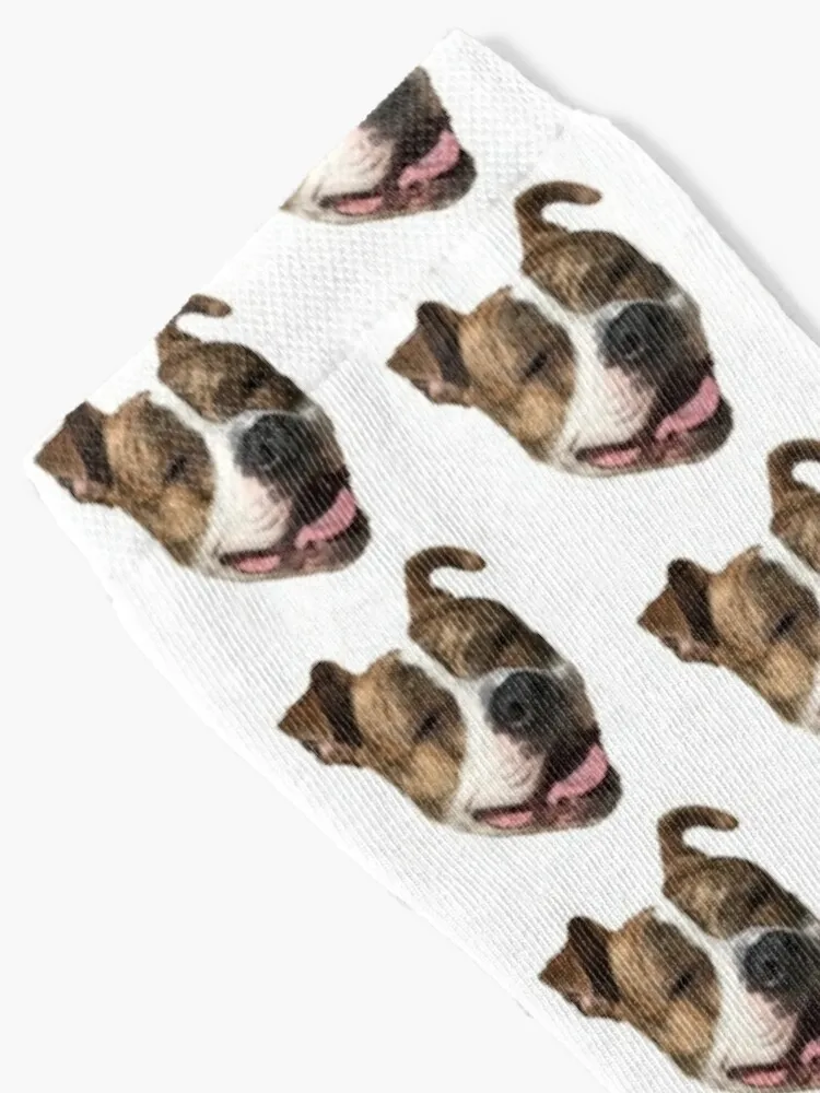 Pitbull Sticker 3 Socks sheer custom sports Socks Male Women's