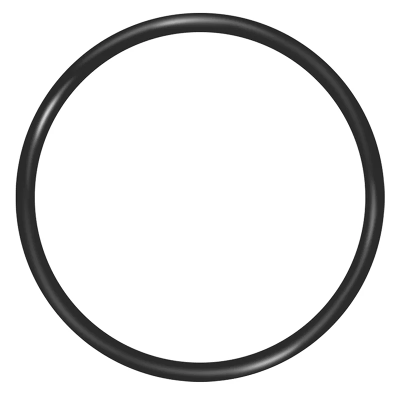 A04G-Water 151122 Zamienne O-ringi do Big Blue Oring Buna-N (12 sztuk)