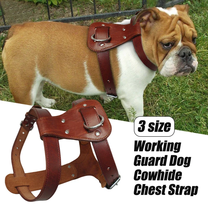 Arnés de cuero genuino para perros y gatos, chaleco de entrenamiento para caminar para perros, correas ajustables, arneses duraderos para perros