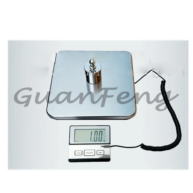Weighing Transport Scale Stainless Steel Surface 100Kg Luggage Weighing Scale