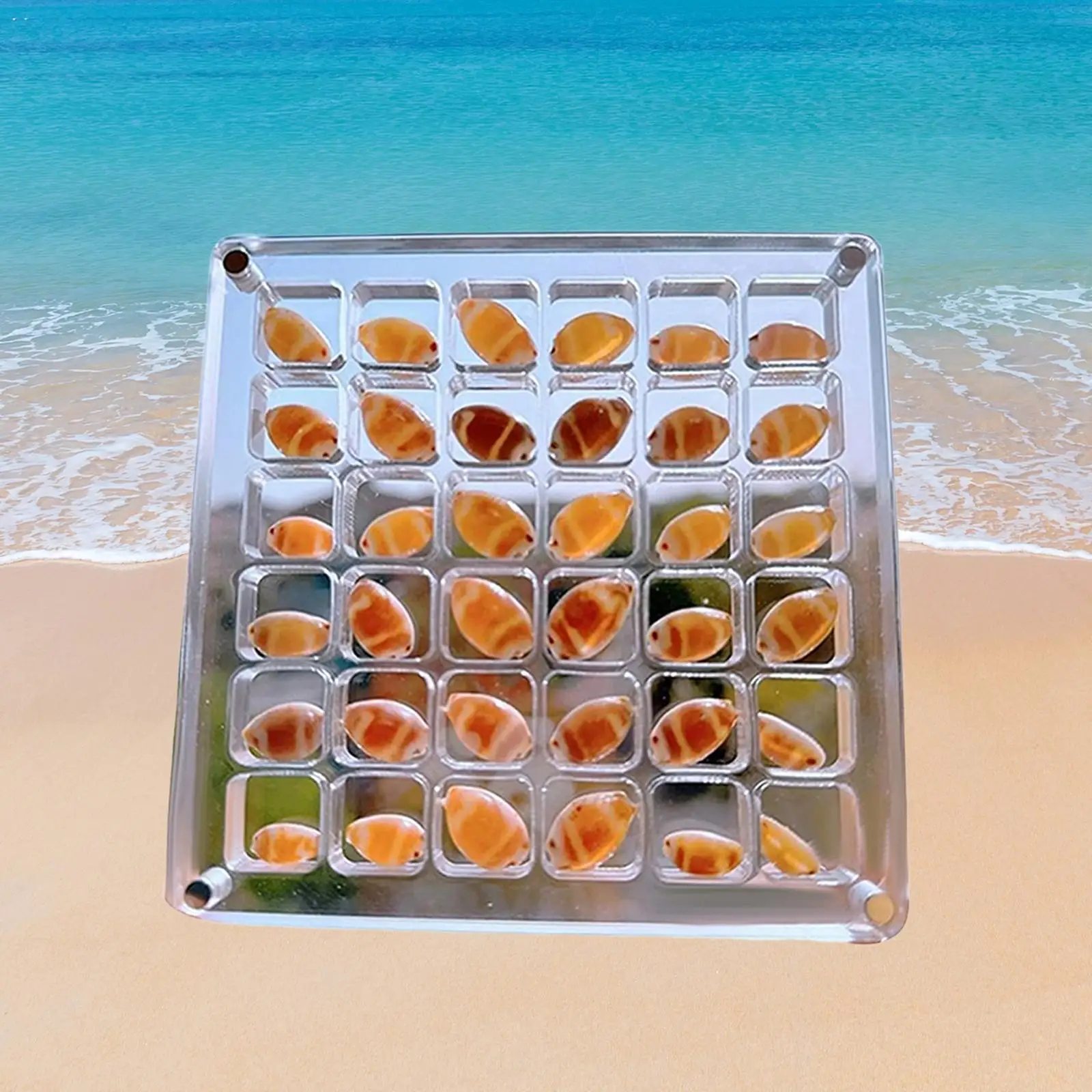 

Акриловая витрина в виде ракушек, небольшие органайзеры для рукоделия, 36 сеток для хранения ракушек