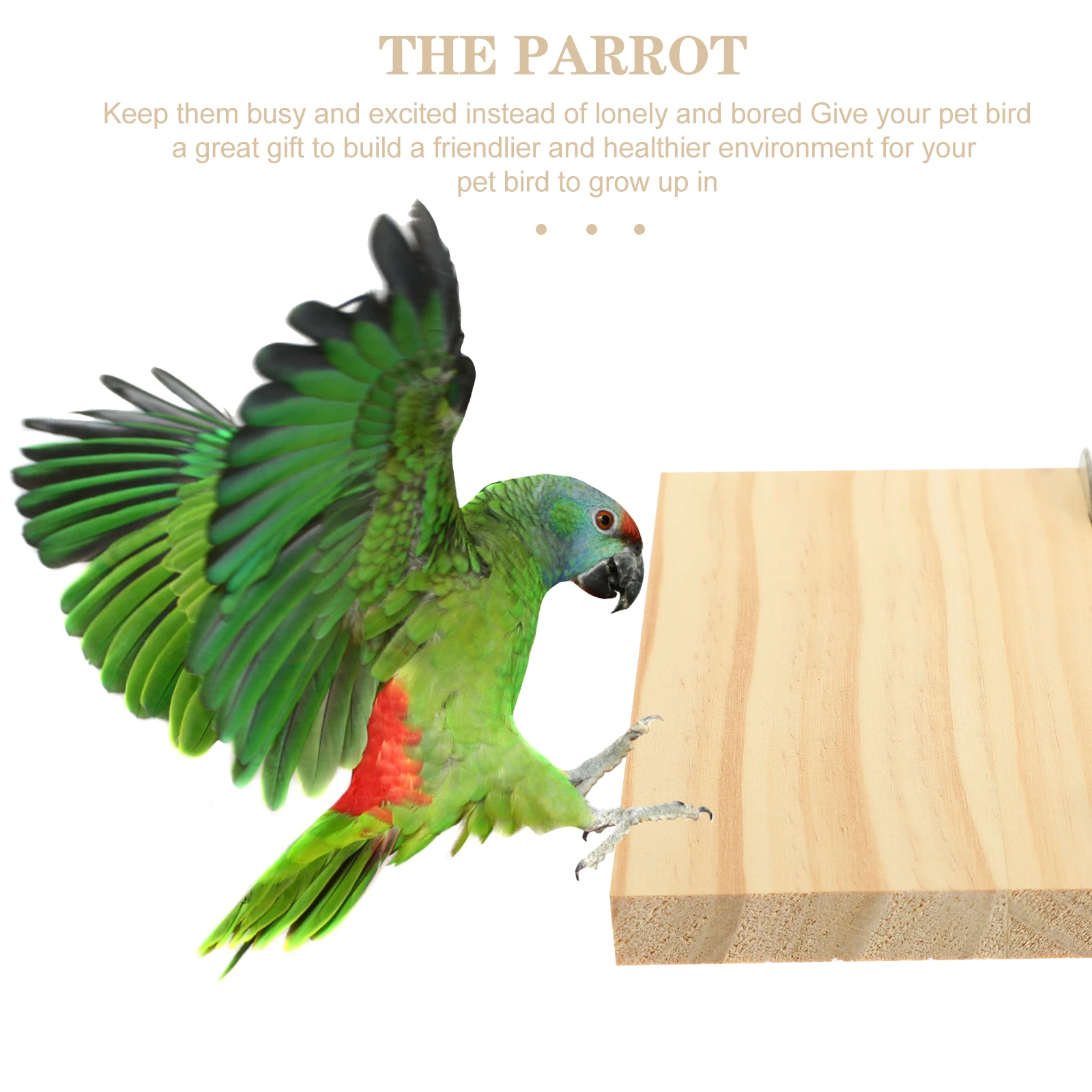 

Natural Wood Bird Perch Platform Parrot Standing Roost Cage Accessories Parakeet Perches Exercise Stand For Cockatiels Stainless