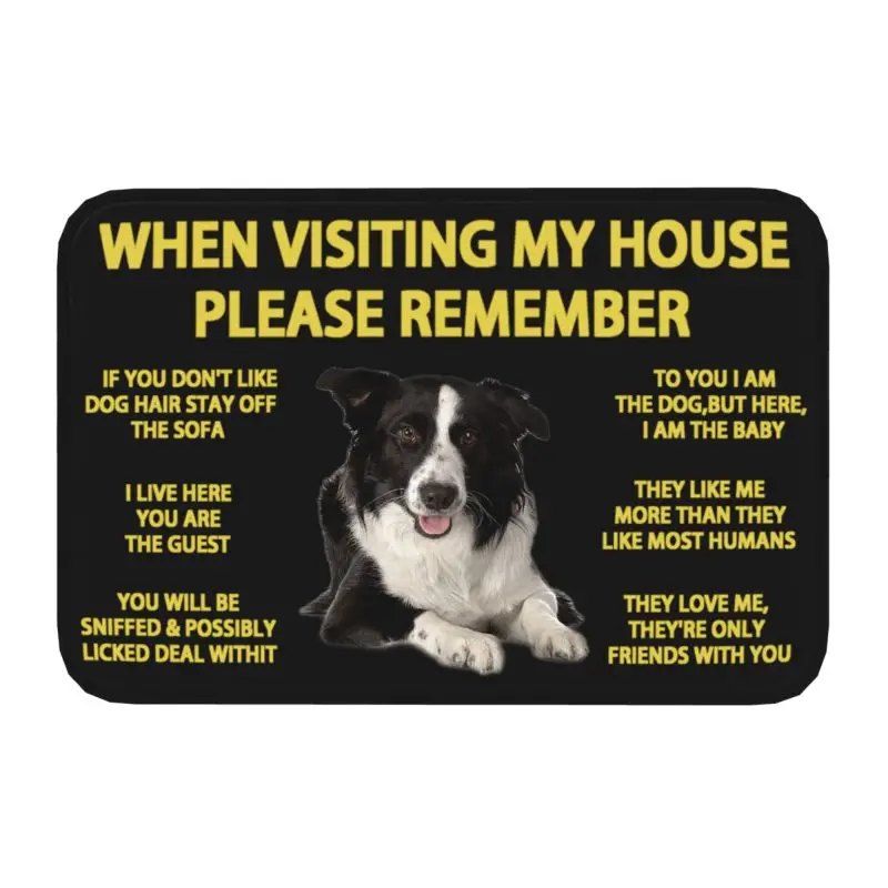 House entrance carpet Border Collie Front Floor Door Entrance Mat Indoor Pet Dog Gift Bath Kitchen Doormat Garden Carpet Rug