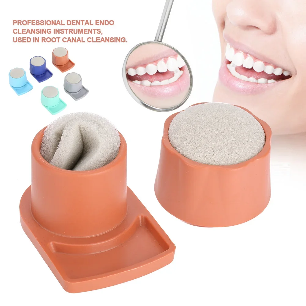 1PCS Dental Endo Stand Files Teeth Cleaning Holder Case Burs Oral Care Tools Dental Products Dentistry Tools Dentist Orthodontic