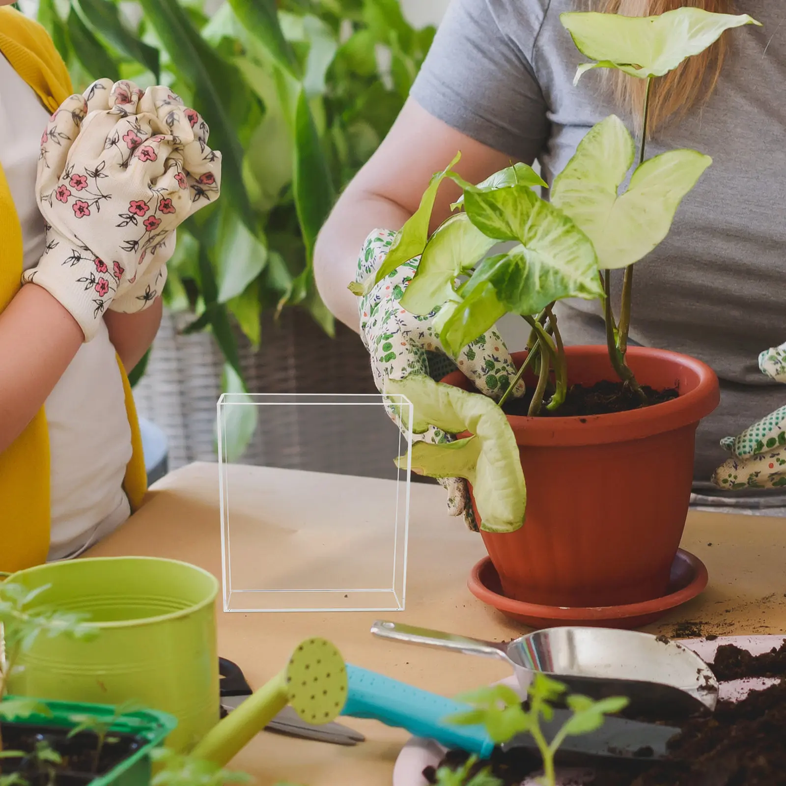 

Детский прозрачный мини-парник для наблюдения за корнями растений, для научно-образовательных занятий, домашнего обучения и использования в классах