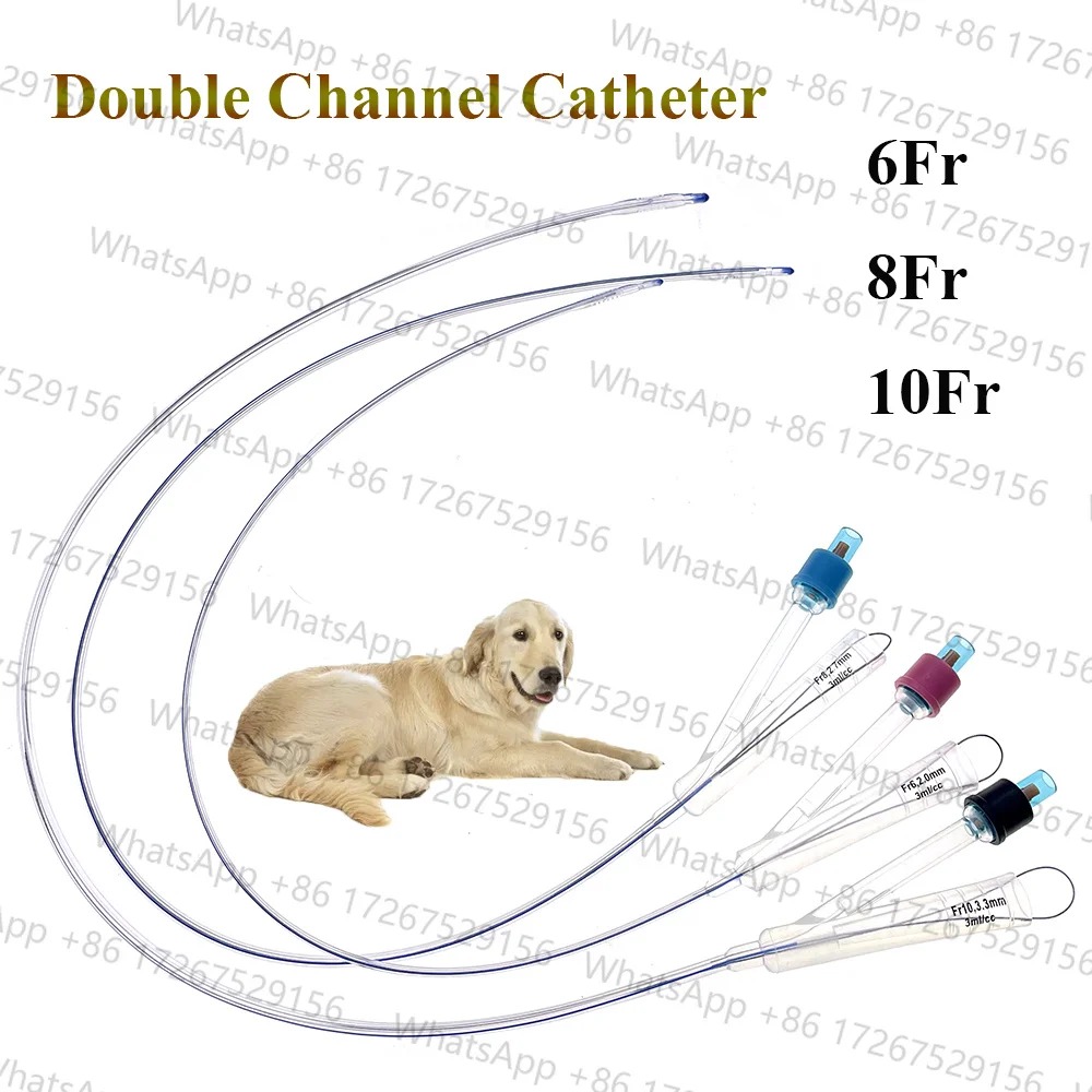 Catéter Foley para Perros, de Silicona, de Larga Duración, de 2 Vías, para Aliviar la Obstrucción Uretral en Machos