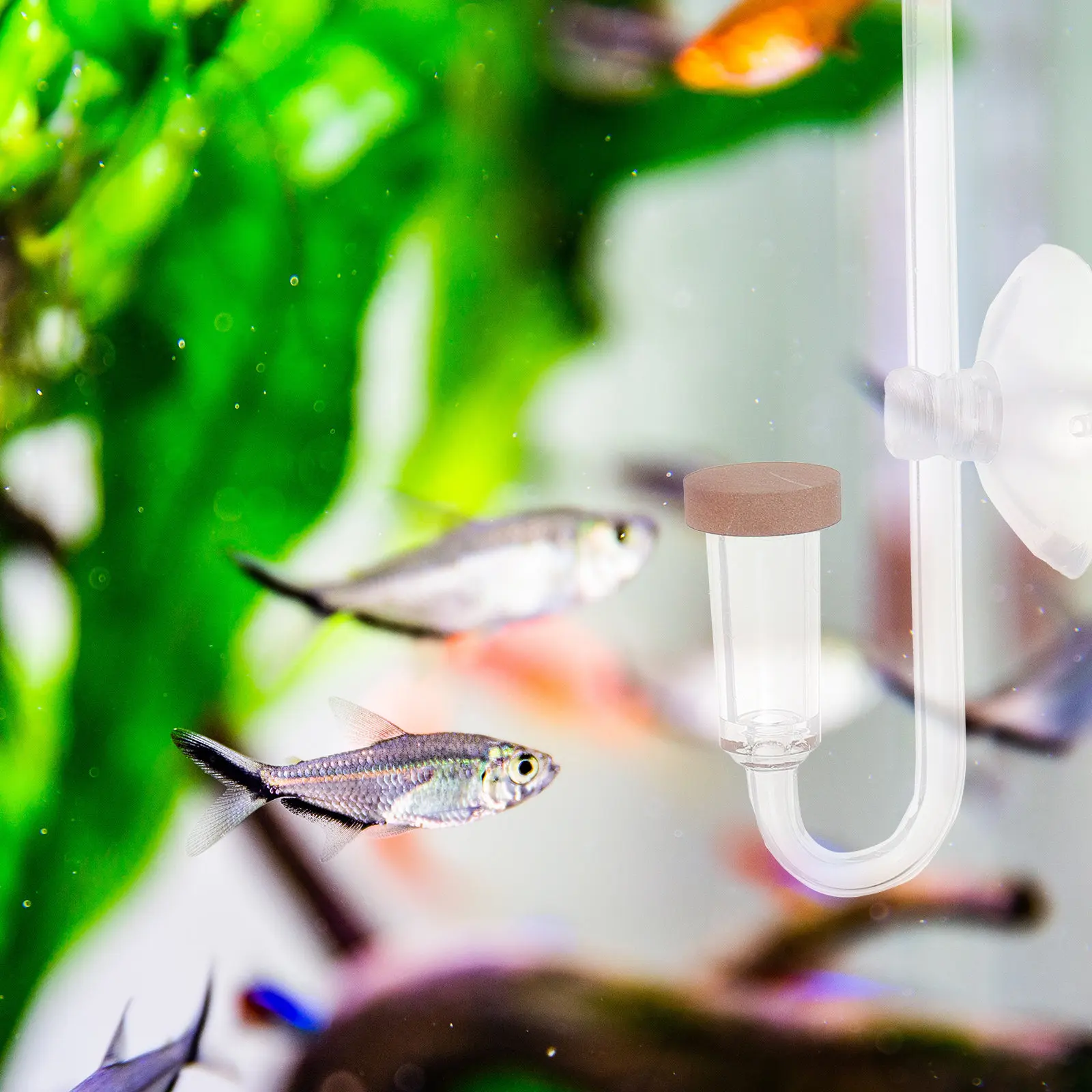 Fish Tank Co2 Diffuser Acrylic Aquarium Oxygen Refiner Low Pressure Atomization High Dissolved Oxygen Rate Oxygenation for Plant