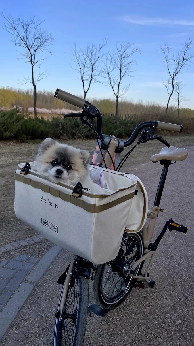 

Новая маленькая тканевая сумка для головы велосипеда, корзина для хранения, корзина для овощей, ible с Brton, универсальная сумка на руль, велосипедное оборудование