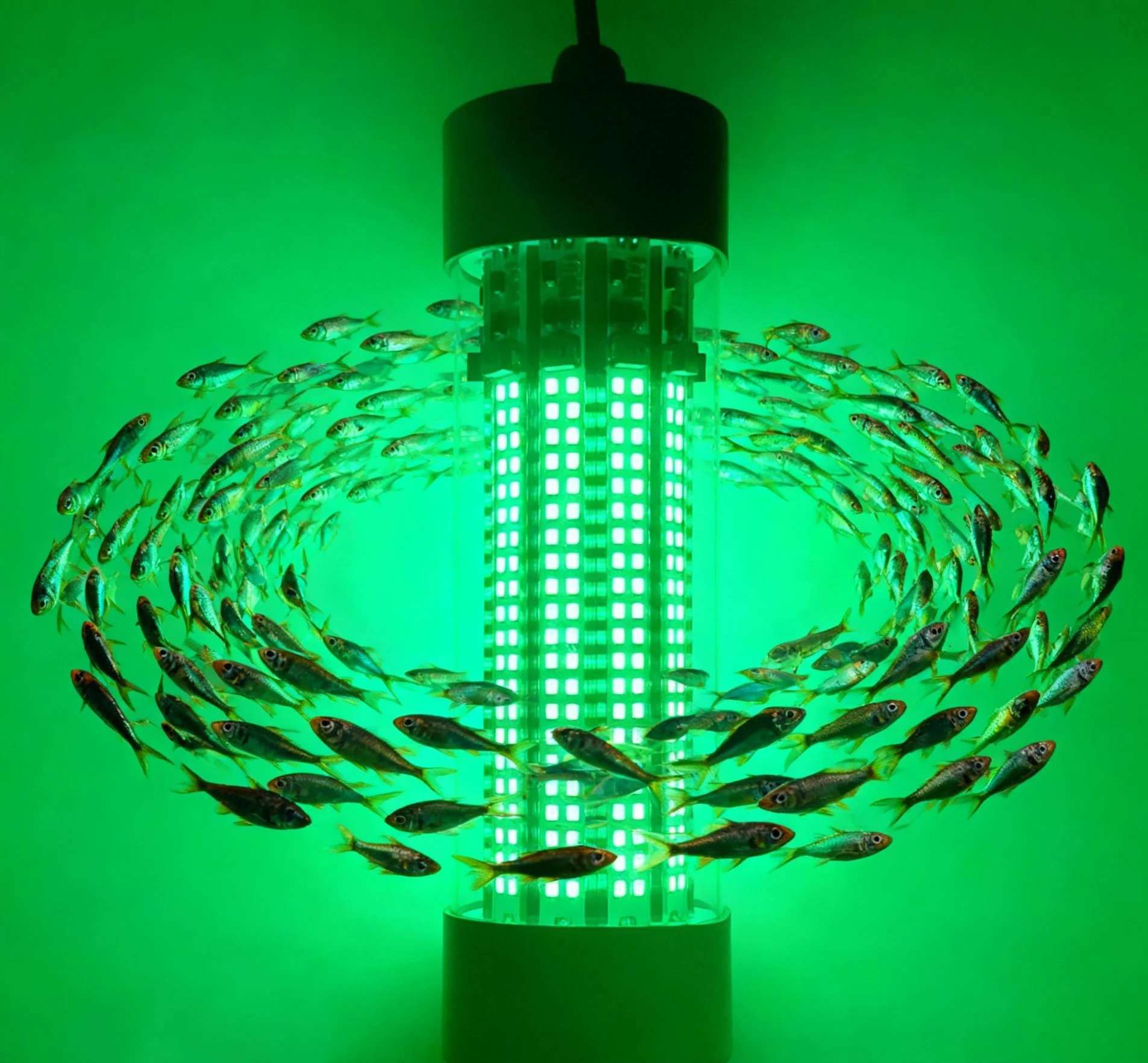 12-24V high-brightness high-power 100W hollow structure IP68 waterproof LED fish attractor lamp, fish gathering lamp, underwater