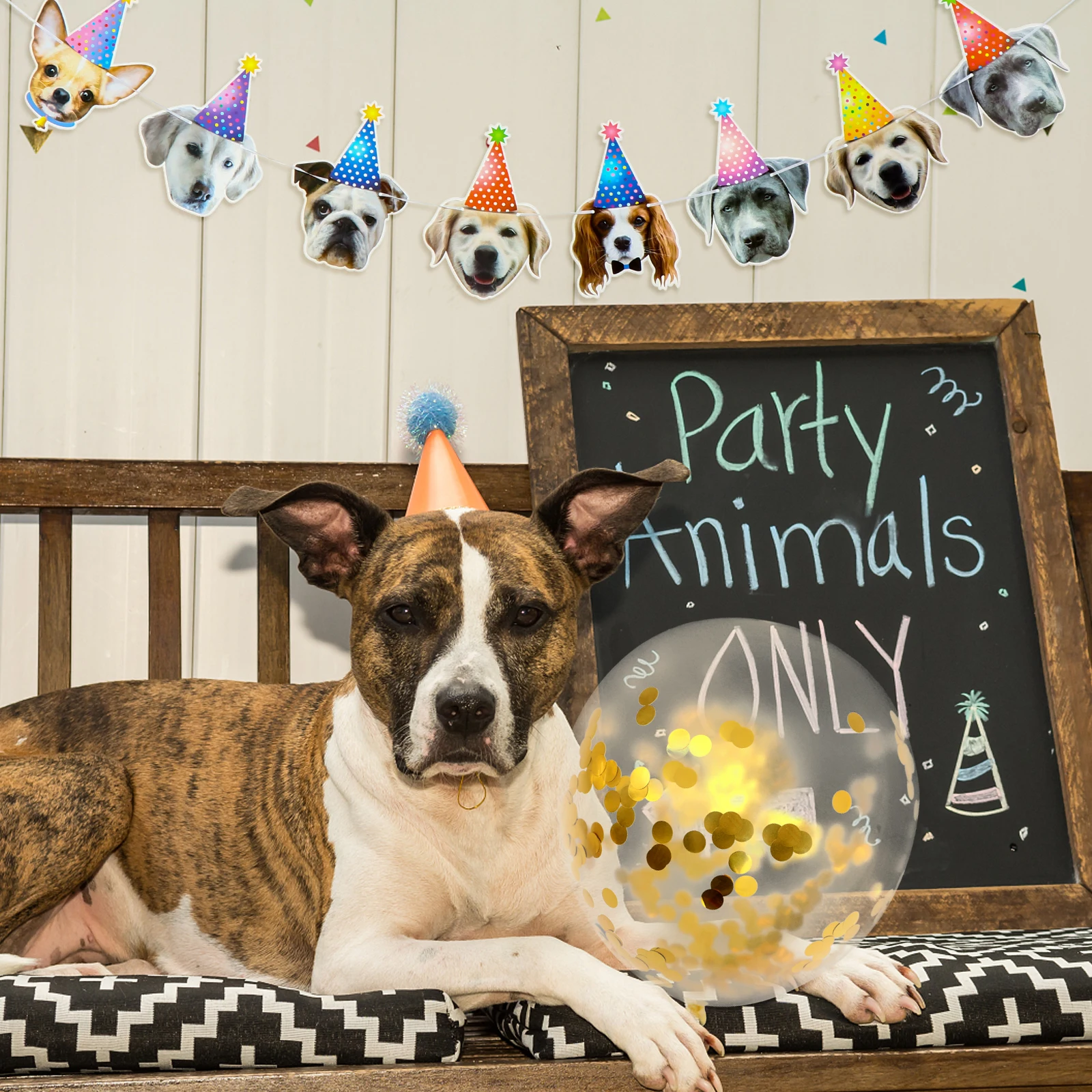 

1Set Dog Birthday Balloon Banner Foldable Durable Pet Party Decoration Puppy Photo Prop Bunting Dog Party Balloon Banner