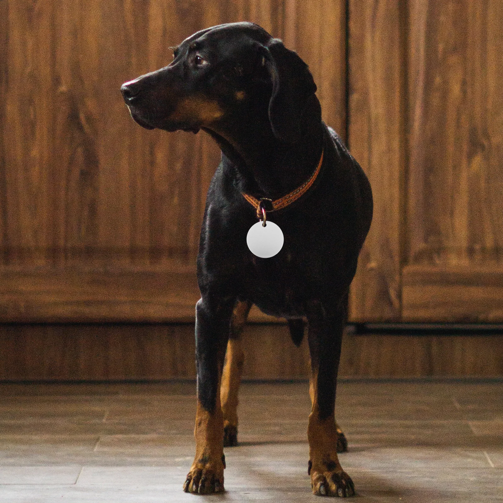 

25pcs Round Aluminum Blank Dog For Engraving Pet Name Id Diy Stamping Tags Keychain Decoration Durable Metal Discs Cats Dogs