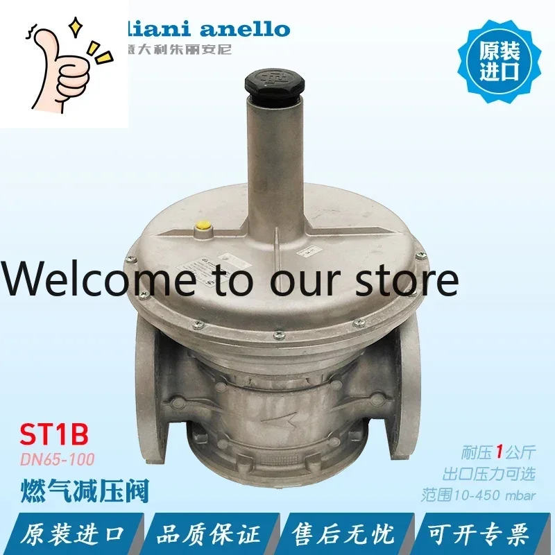 

2025 Giuliani Gas Pressure Reducing Valve FS1B65 ST1B80 STR100D FG1B50 FGDR40 ST4B25