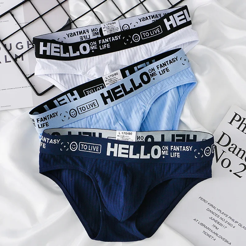 3 Stück/2 Stück Herrenunterwäsche aus reiner Baumwolle, atmungsaktiv, unabhängige Beutel-Slips, bequeme Baumwoll-Boxershorts