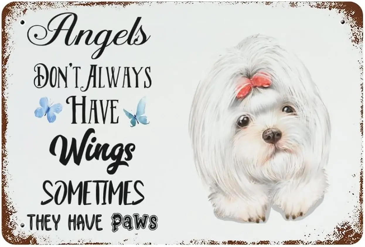 Funny Maltese Dog Metal Tin Sign Angels Don't Always Have Wings Sometime They Have Paws Tin Sign Metal Art Holiday Decoratio